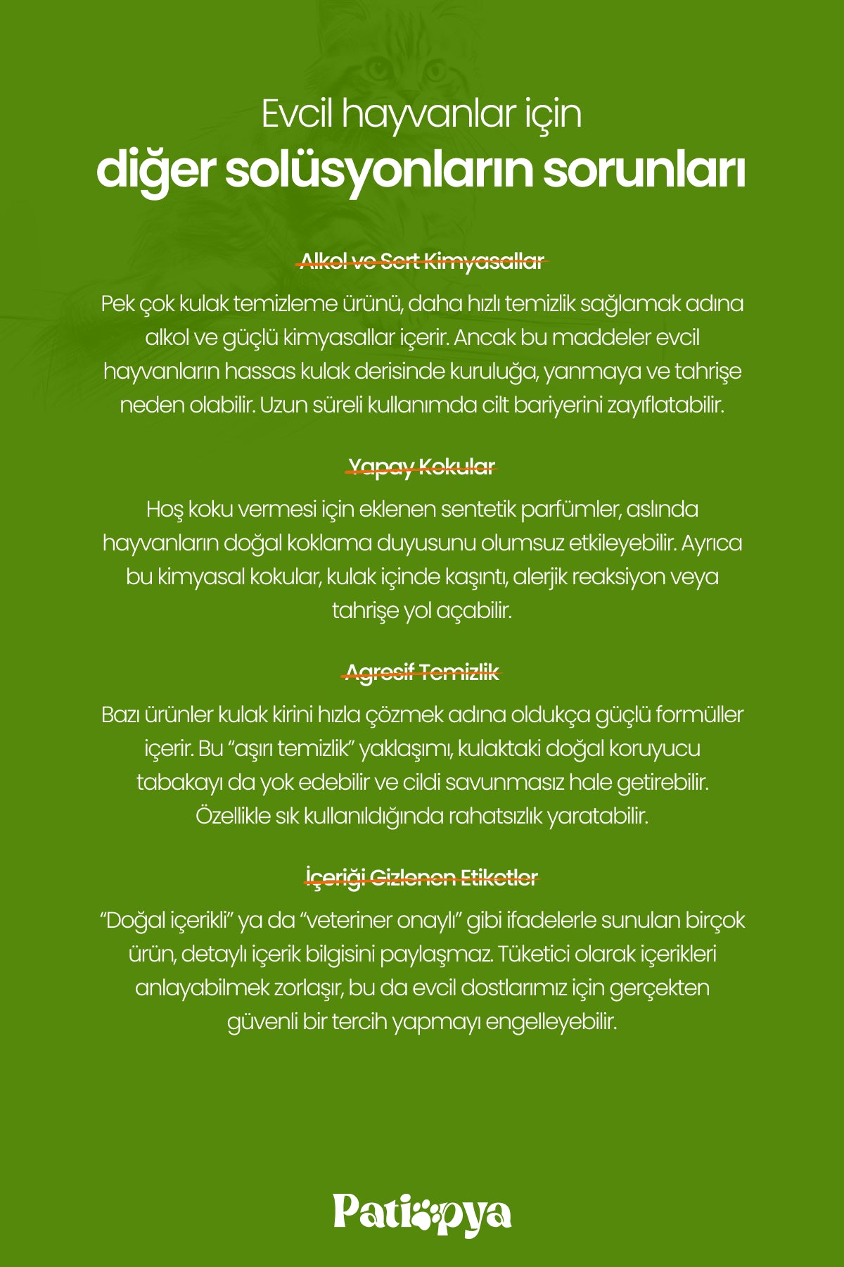 Kedi ve Köpekler İçin Kulak Temizleme Solüsyonu Aloe Vera Özlü 120ml