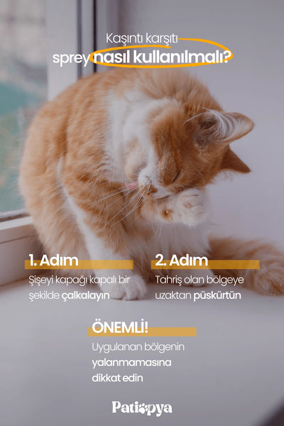 Kaşıntı Karşıtı Sprey Aynısefa Özlü 120ml